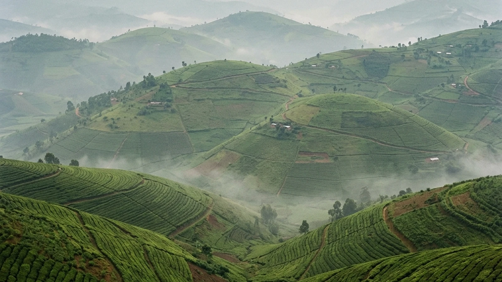 Rwanda